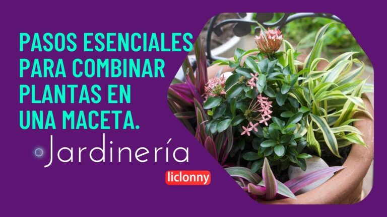 Guía para Combinar Plantas en Jardineras de Forma Efectiva