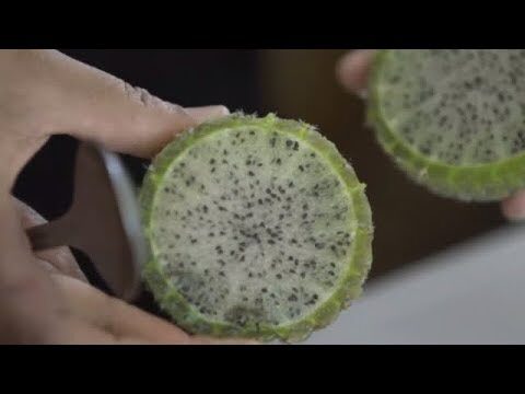 Fruto redondo con espinas: Caracter&iacute;sticas y usos