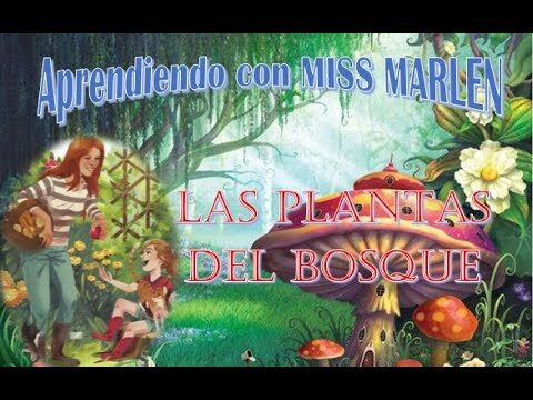 Tipos de Plantas en el Bosque: Un Recorrido por la Biodiversidad