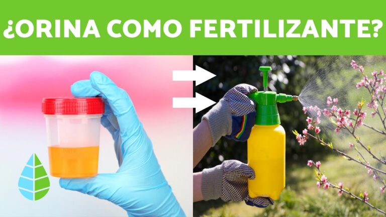 Beneficios de la Orina como Fertilizante para Plantas