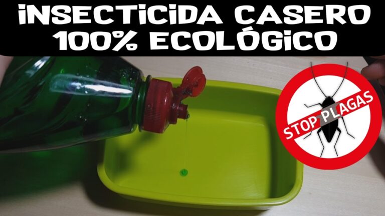 Insecticida casero para mosquitas: soluciones efectivas en el hogar