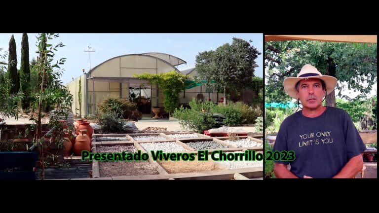 Los mejores viveros en Elda: una gu&iacute;a completa