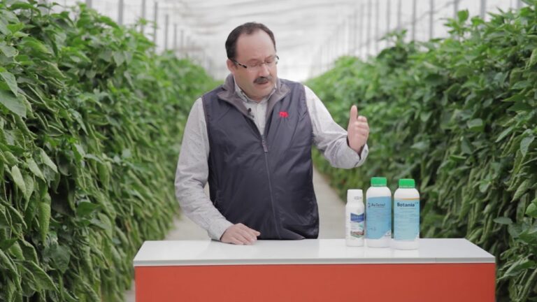 Control Efectivo de la Plaga de Ara&ntilde;a Blanca en Plantas