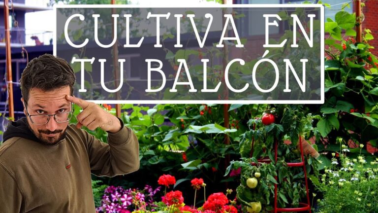 Mini huerto en el balcón: consejos y recomendaciones