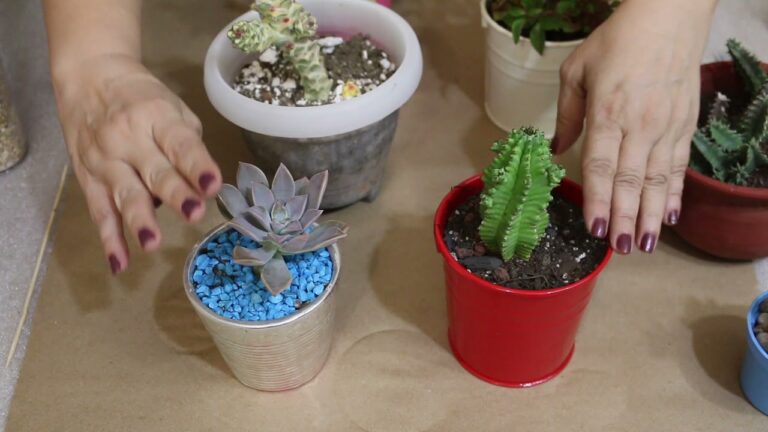 Mejores pr&aacute;cticas para regar plantas: Consejos &uacute;tiles