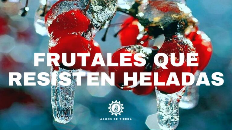 &Aacute;rboles frutales resistentes al fr&iacute;o