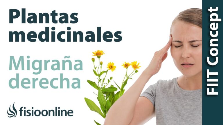 Infusiones Efectivas para Aliviar el Dolor de Cabeza