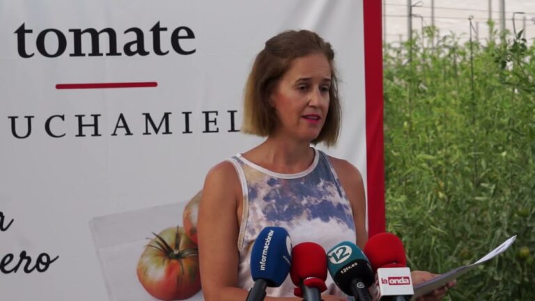 Guía de precios del tomate Muchamiel
