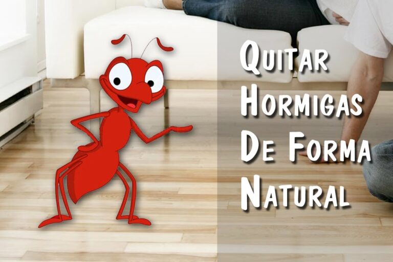 Cómo ahuyentar hormigas de forma natural