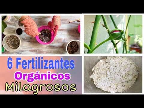 Beneficios del abono como alimento para las plantas.