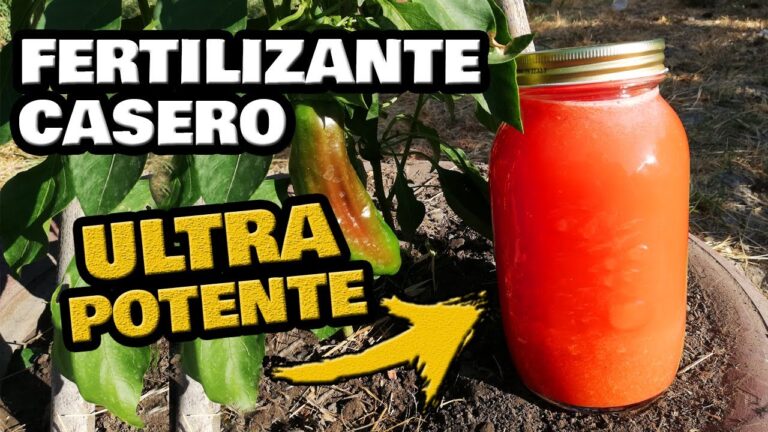 Fertilizante Casero Efectivo para Cerezos