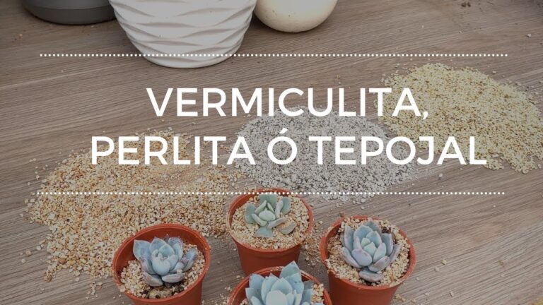 Perlita vs. Vermiculita: Diferencias y Usos en Jardinería