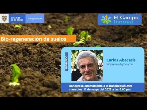 La Regeneración de las Plantas: Un Proceso Asombroso