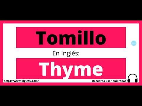 Beneficios y Usos del Tomillo Inglés en la Cocina y la Salud