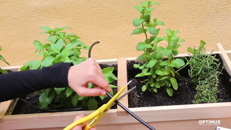 C&oacute;mo mantener tus plantas regadas durante las vacaciones