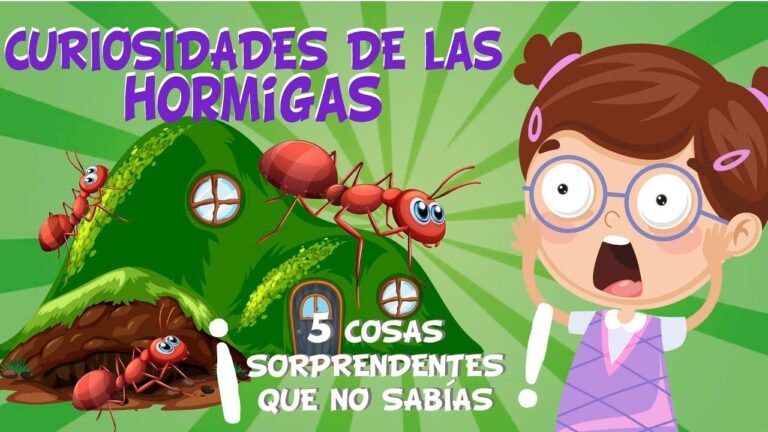 El Corazón de las Hormigas: Un Asombroso Descubrimiento Científico