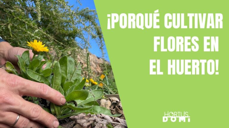 Cultivo Eficiente de Plantas de Invierno en el Huerto