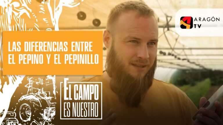 Pepino y Pepinillo: ¿Misma Planta?