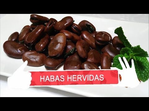 Habas Secas a la Valenciana: Tradición y Sabor en Cada Plato