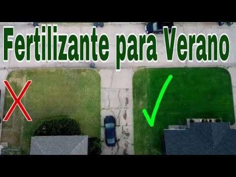 El Mejor Abono para un Césped Saludable y Verde